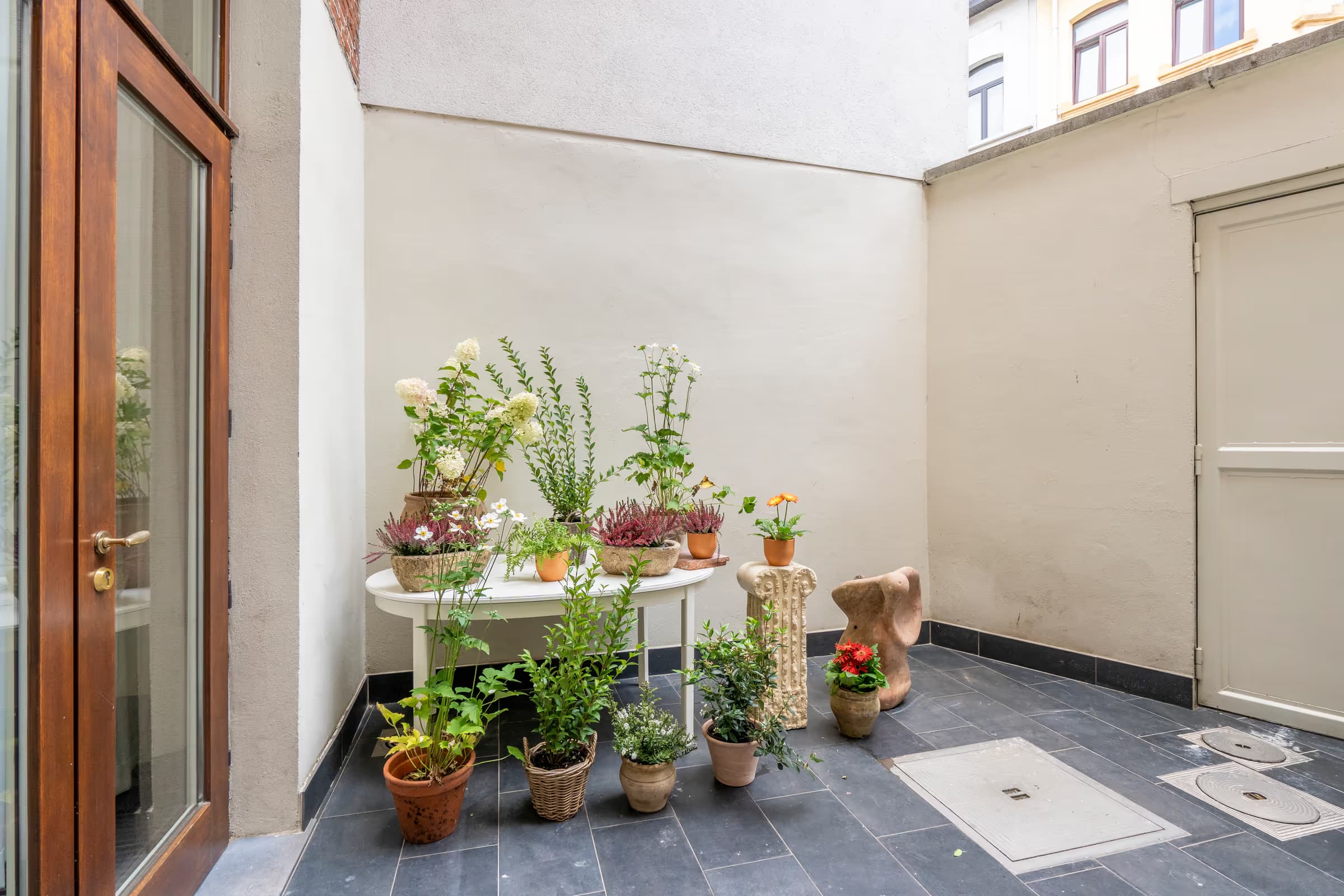 Dodoens thumbnail 16