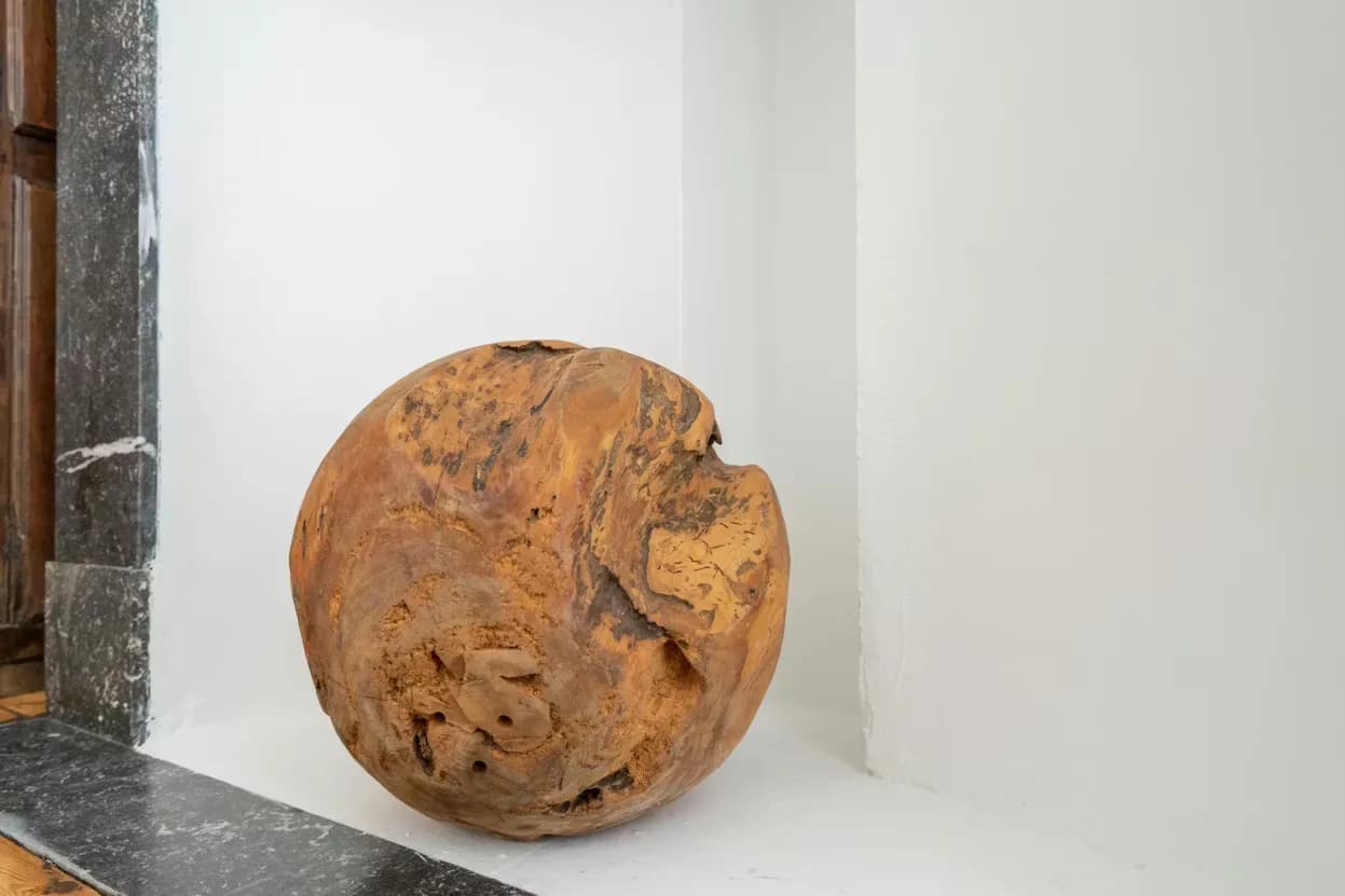 2. Co-living room – Garden Side thumbnail 4